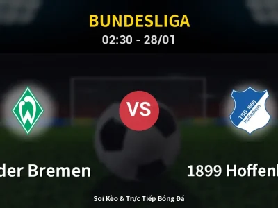 Kết Quả: Werder Bremen 0-2 1899 Hoffenheim – Highlight & Bàn Thắng | Bundesliga