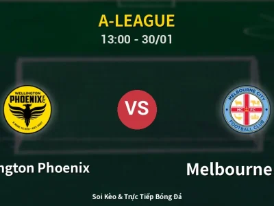 Kết Quả: Wellington Phoenix 2-2 Melbourne City – Highlight & Bàn Thắng | A-League