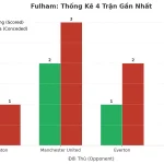 Thống kê Tài Xỉu Fulham 2025