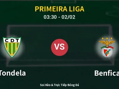 Kết Quả: Tondela 0-0 Benfica – Highlight & Bàn Thắng | Primeira Liga