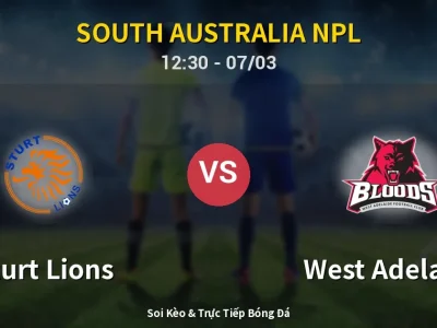 Kết Quả: Sturt Lions 4-3 West Adelaide – Highlight & Bàn Thắng | South Australia NPL