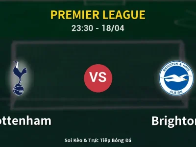 Soi Kèo Tottenham vs Brighton – 23:30 18/04 | Nhận Định, Dự Đoán Tỷ Số