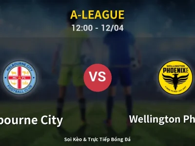 Kết Quả: Melbourne City 2-0 Wellington Phoenix – Highlight & Bàn Thắng | A-League